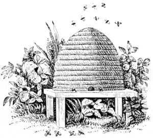 The Beehive
