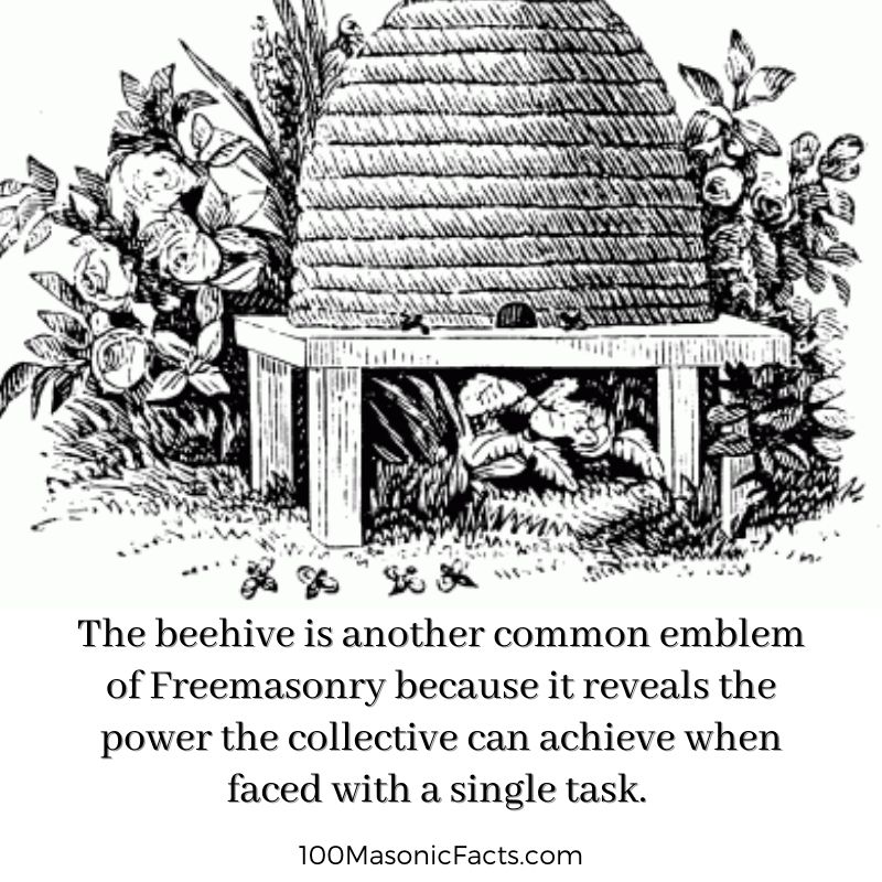 The beehive is another common emblem of Freemasonry because it reveals the power the collective can achieve when faced with a single task